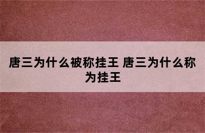 唐三为什么被称挂王 唐三为什么称为挂王